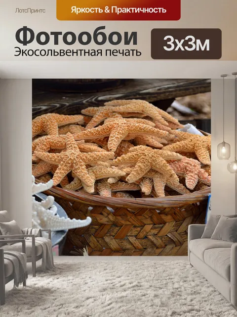 Фотообои Морская звезда