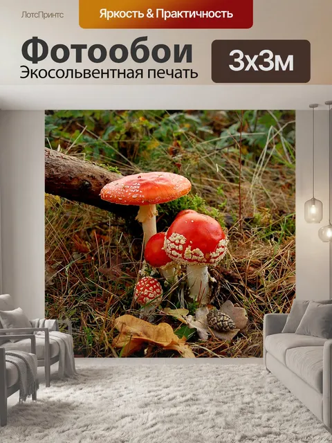 Фотообои Поганка