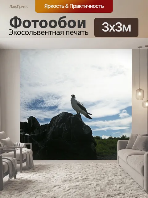 Фотообои Птица