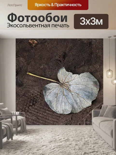 Фотообои разлагающийся бесцветный сломанный лист