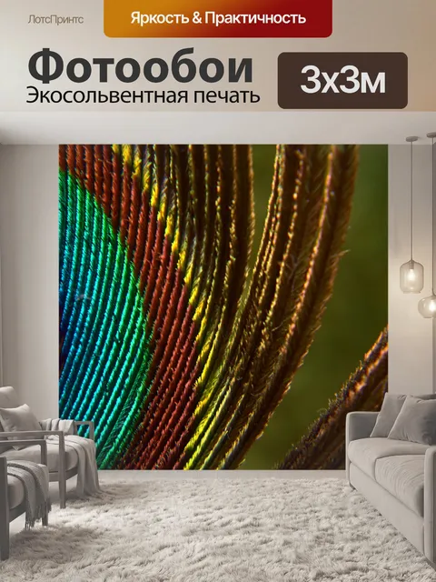 Фотообои Перо