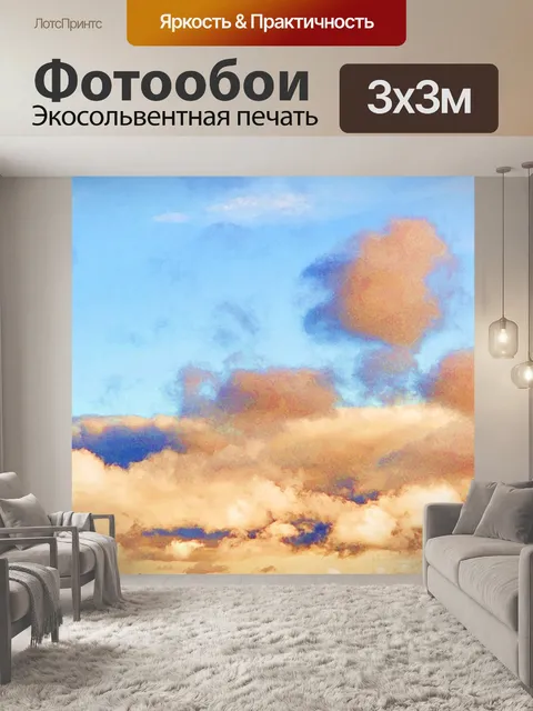 Фотообои Посадка в конце дня