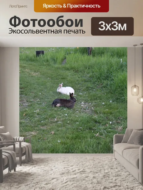 Фотообои Милые кролики