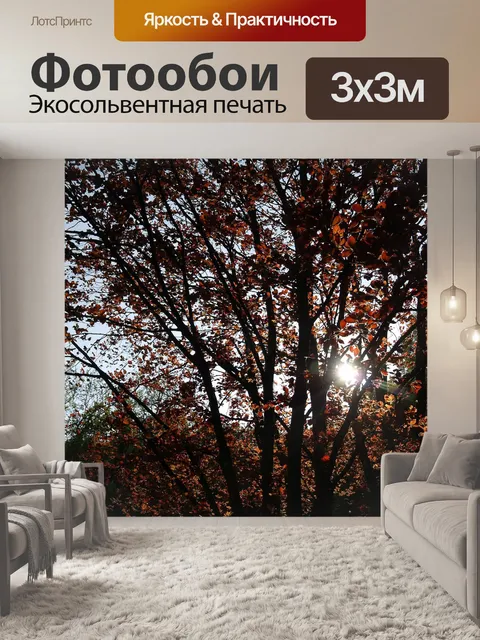 Фотообои Осенью вудс