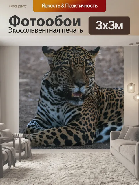 Фотообои леопард