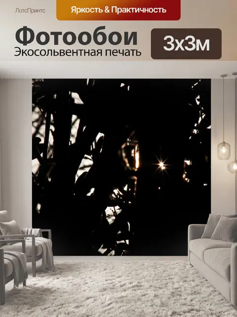 Фотообои солнечные лучи между силуэтами ветвей