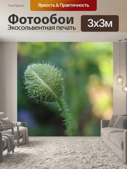 Фотообои Мак
