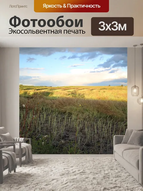 Фотообои Рапс Растениеводство Урожай Ферма