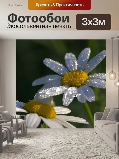 Фотообои Ромашки