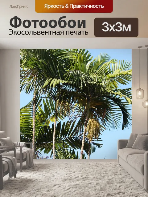 Фотообои Пальмы