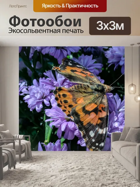 Фотообои Бабочка монарх