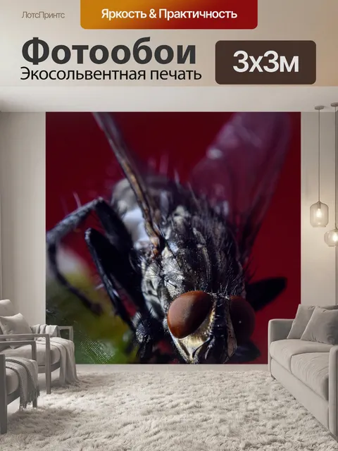 Фотообои Bluebottle