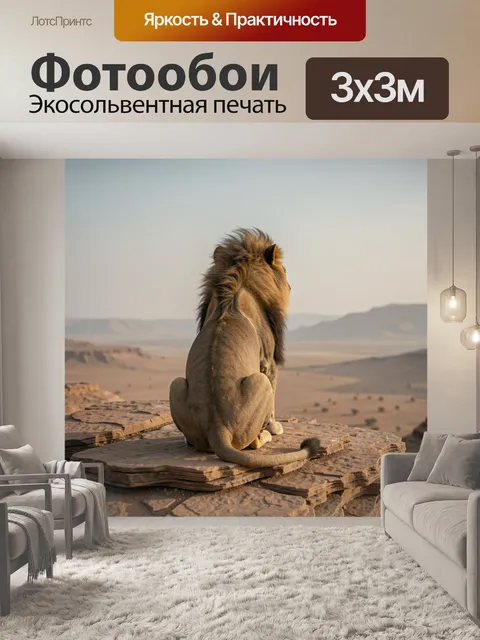 Фотообои Лев на скалистом уступе пустыни