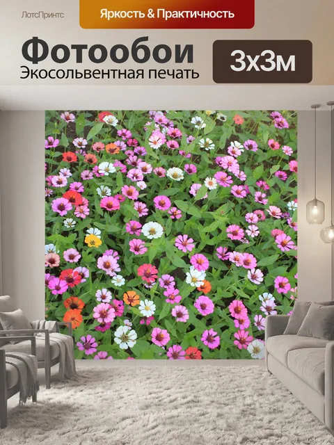 Фотообои Красочные цветы фон