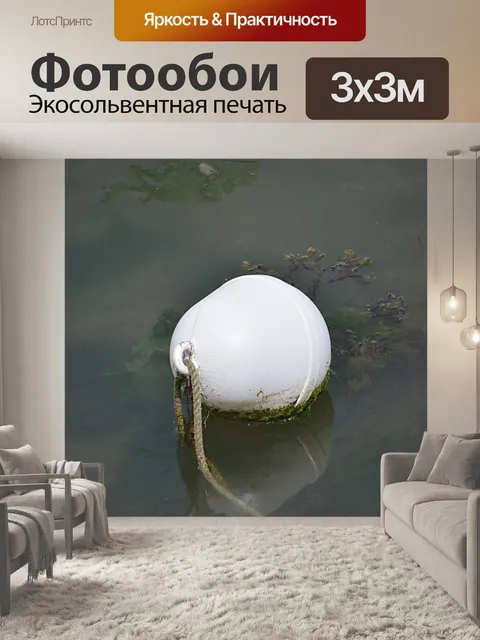 Фотообои Буй!