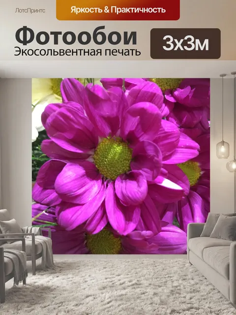 Фотообои Цветок фуксии