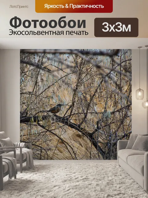 Фотообои Робин сидел зимнее дерево