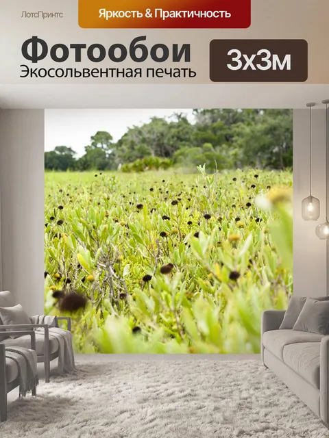 Фотообои Подсолнухи ковров