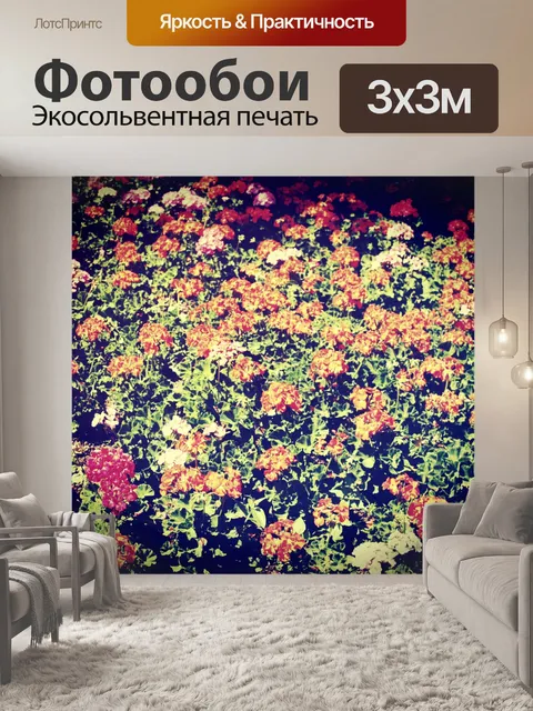 Фотообои Красивый цветок