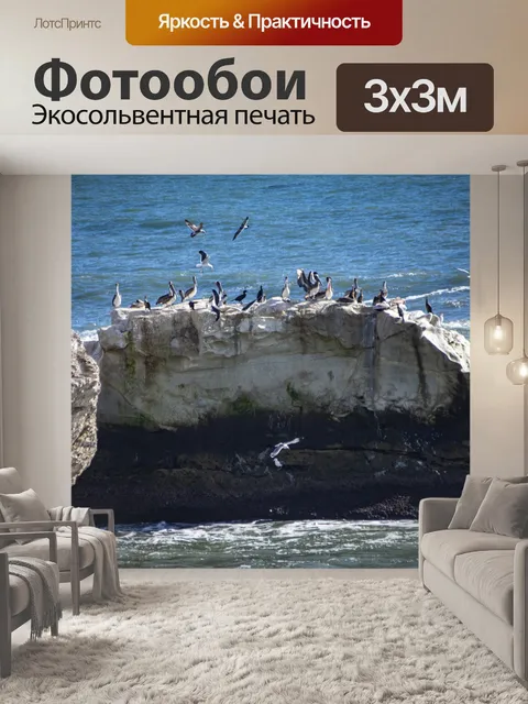 Фотообои чайки и пеликаны