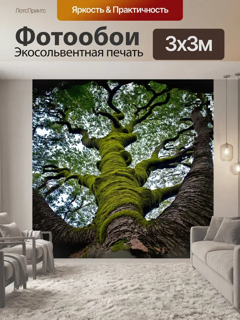 Фотообои изогнутое дерево тянется к небу, его ветви словно переплетенные змеи, обвивающиеся между собой
