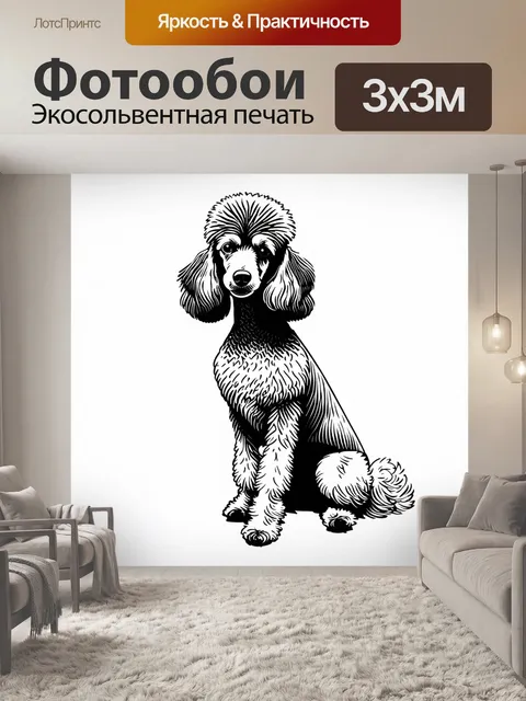 Фотообои минималистичный чёрно-белый рисунок пуделя с простыми линиями и формами