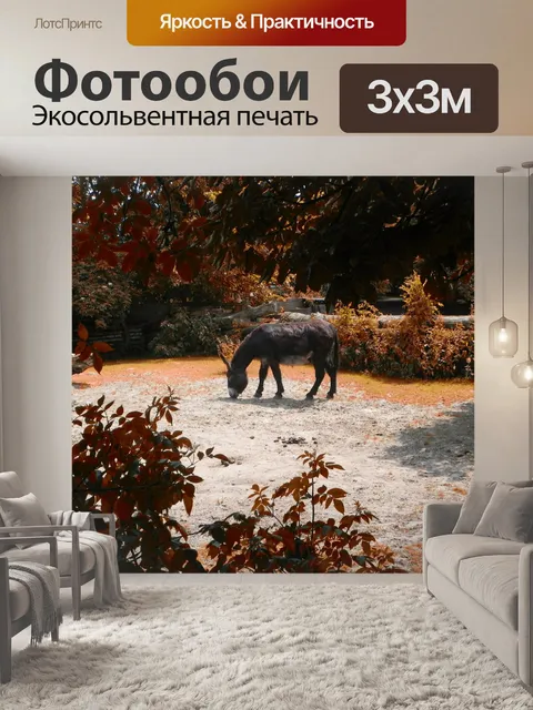 Фотообои Осел