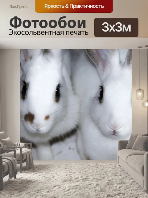 Фотообои Кролик