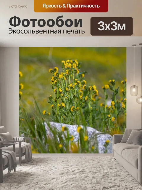 Фотообои Желтые полевые цветы