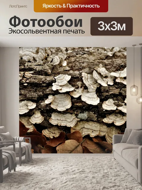 Фотообои Белый Грибок индюка на Бревне 2