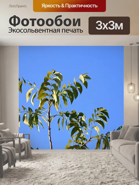 Фотообои зеленые листья на ветке ореха пекан