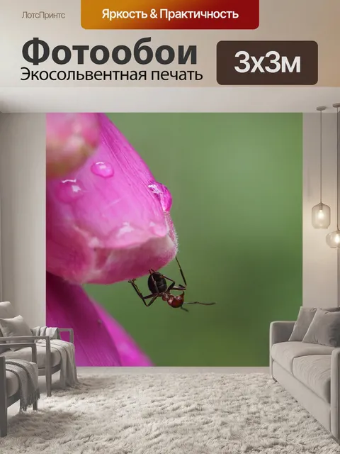 Фотообои Цветок