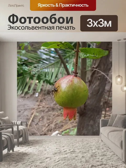 Фотообои Цветы