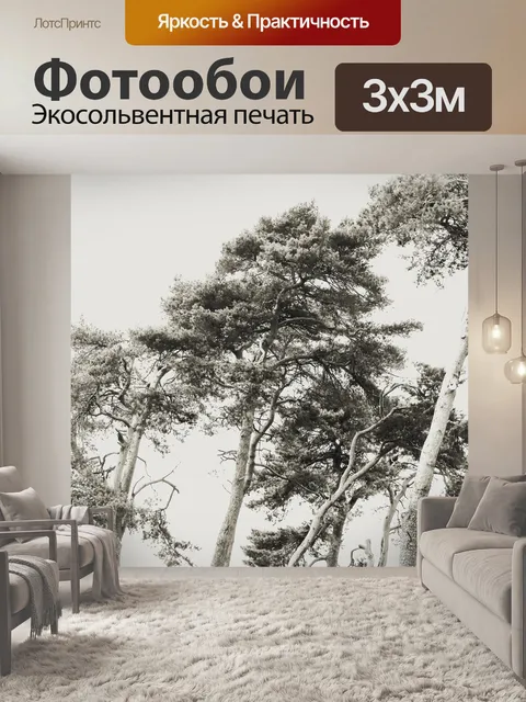 Фотообои Сосна