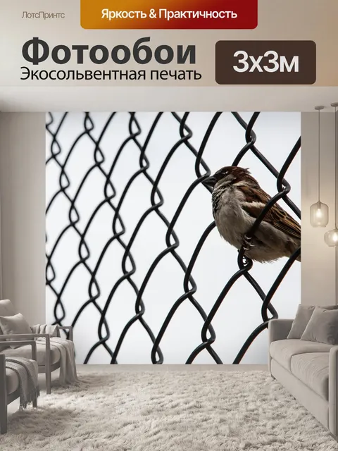 Фотообои Воробей