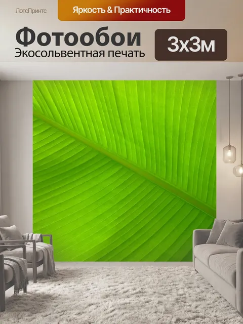 Фотообои Банановый лист