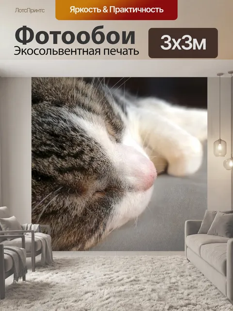 Фотообои Кошка