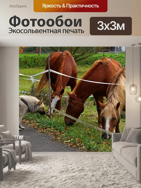 Фотообои Собака