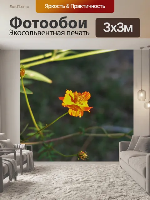 Фотообои Одиночные желтые космос