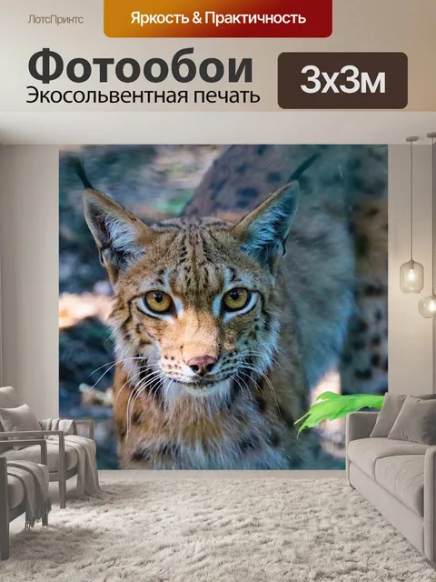 Фотообои Особенность