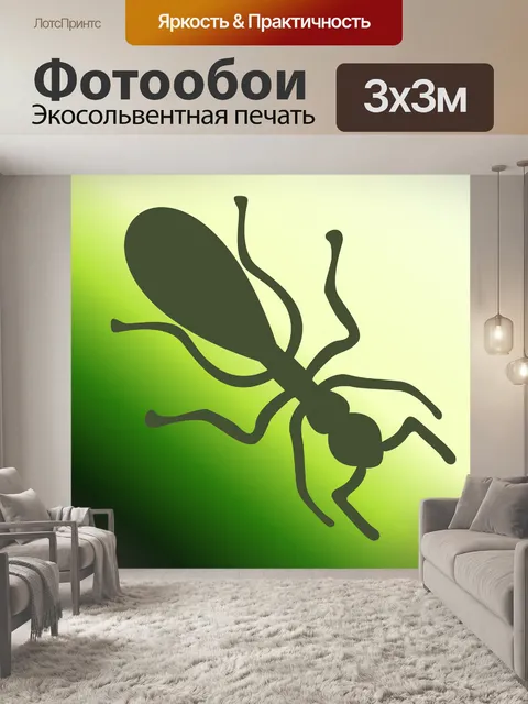 Фотообои оливковое муравей