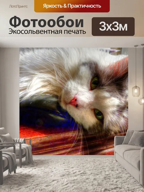 Фотообои Кошка на столе