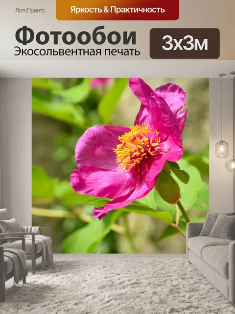 Фотообои Цветок