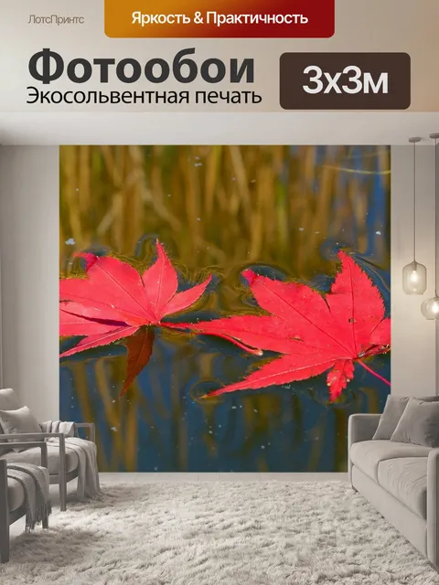 Фотообои Осенние листья