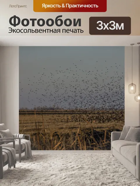 Фотообои Стая птиц