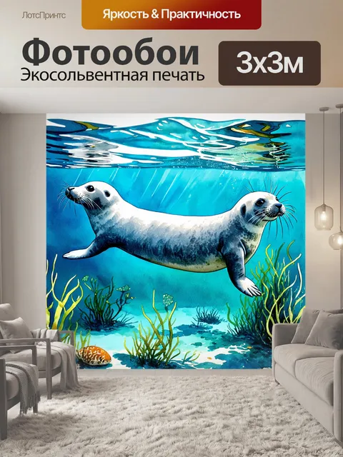 Фотообои серый тюлень плавает в кристально чистой воде