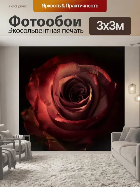 Фотообои Роза