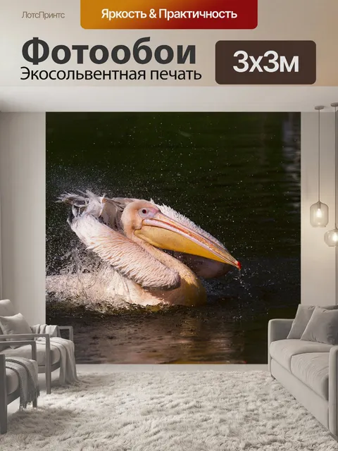Фотообои Пеликан