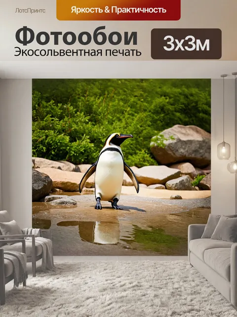 Фотообои королевский пингвин, величественно шагающий по территории зоопарка, окруженный зелеными насаждениями и…