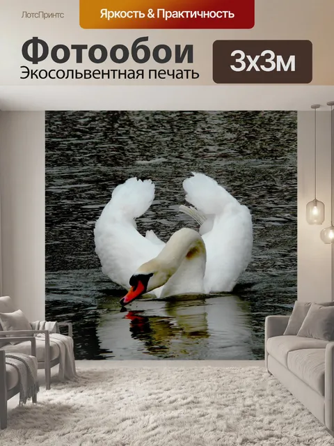 Фотообои Лебедь, элегантно